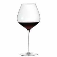 Read Wine Enthusiast Reviews